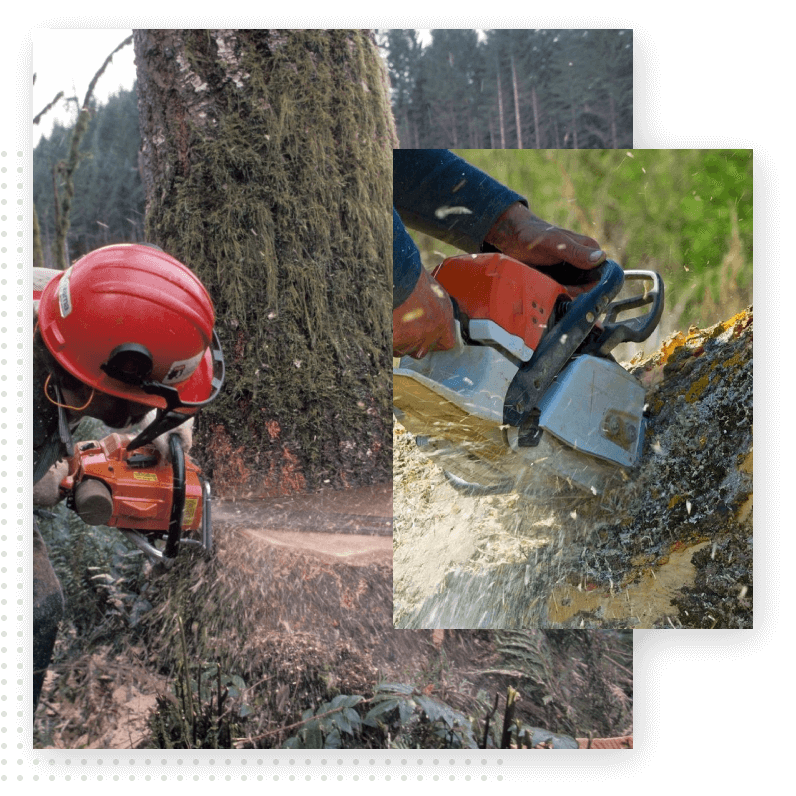 A person with a helmet on and a chain saw.